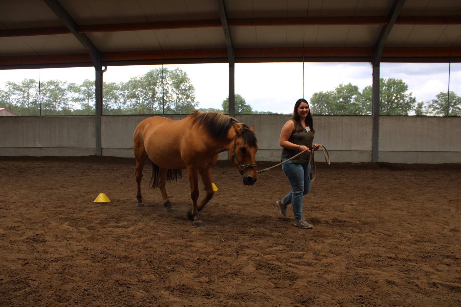 <p>BIP at University of Antwerp: Horse coaching day <em>© Bettina Sailer<br /></em></p>