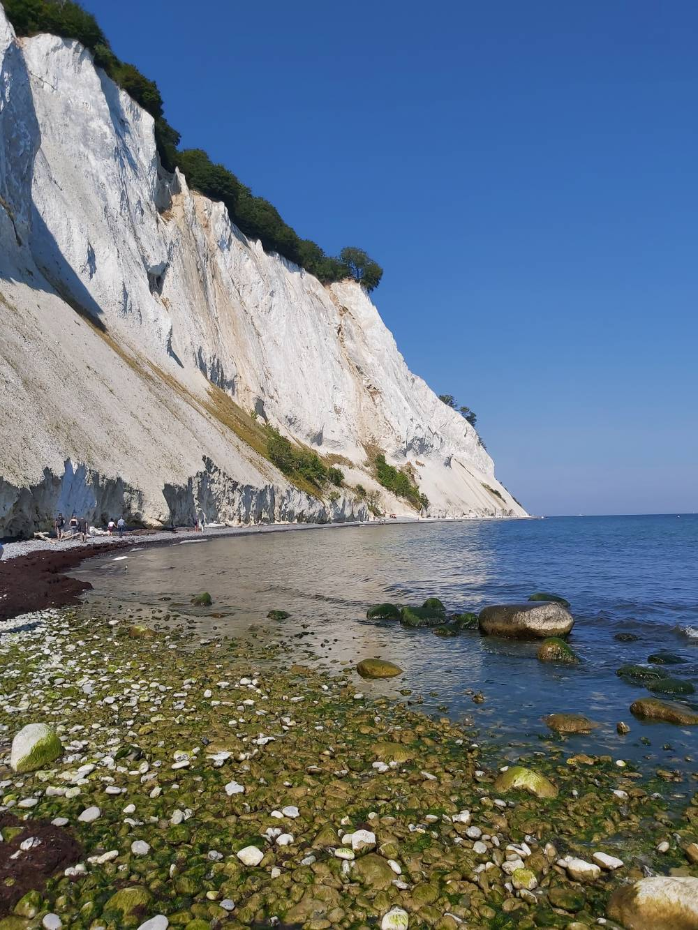 <p>Møns Klint: Die Klippen sind über 100m hoch und bestehen aus Kalkstein. <em>Foto: Gerhard</em></p>