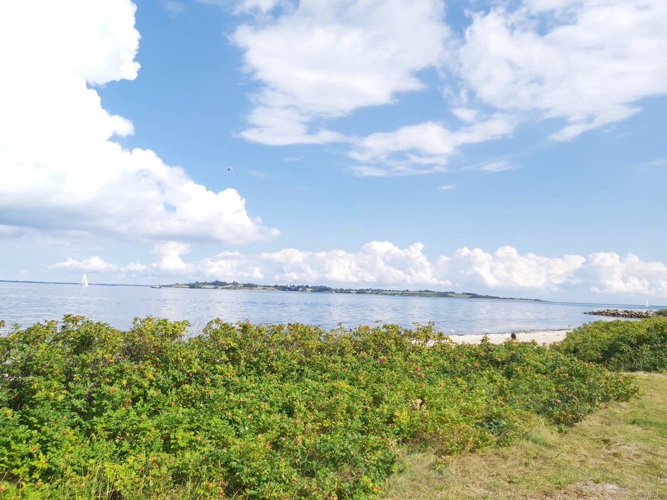 <p>Im Spätsommer kann man an den Stränden nicht nur baden, sondern auch „Hyben“ (=Hagebutten) pflücken. <em>Foto: Gerhard</em></p>