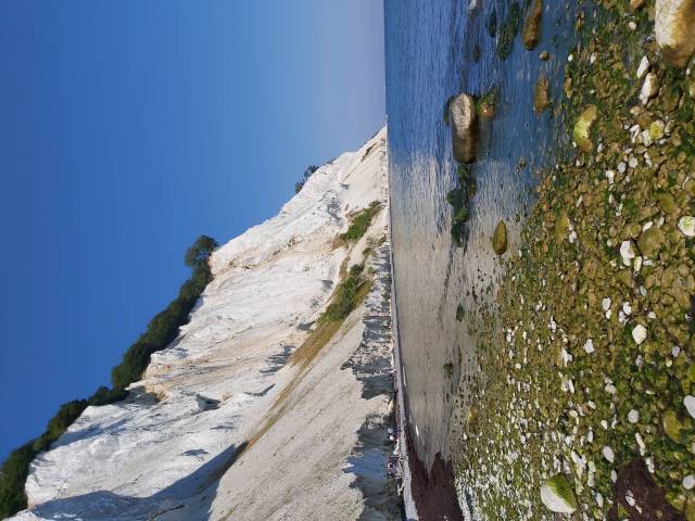 <p><em>Møns Klint: The cliffs are over 100m high and made of limestone. <em>Photo: Gerhard</em></em></p>