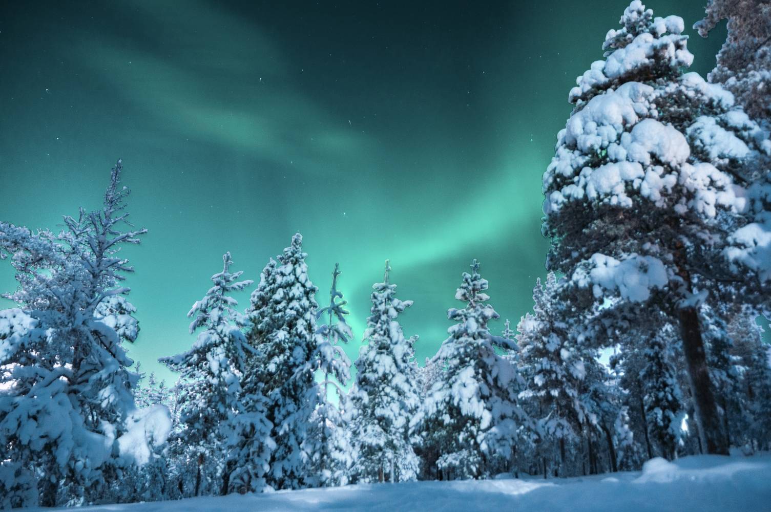 <p><em>View of the Aurora from <em>Ounasvaara, </em>a hill near the student housing. Photo: Schuler<br /></em></p>