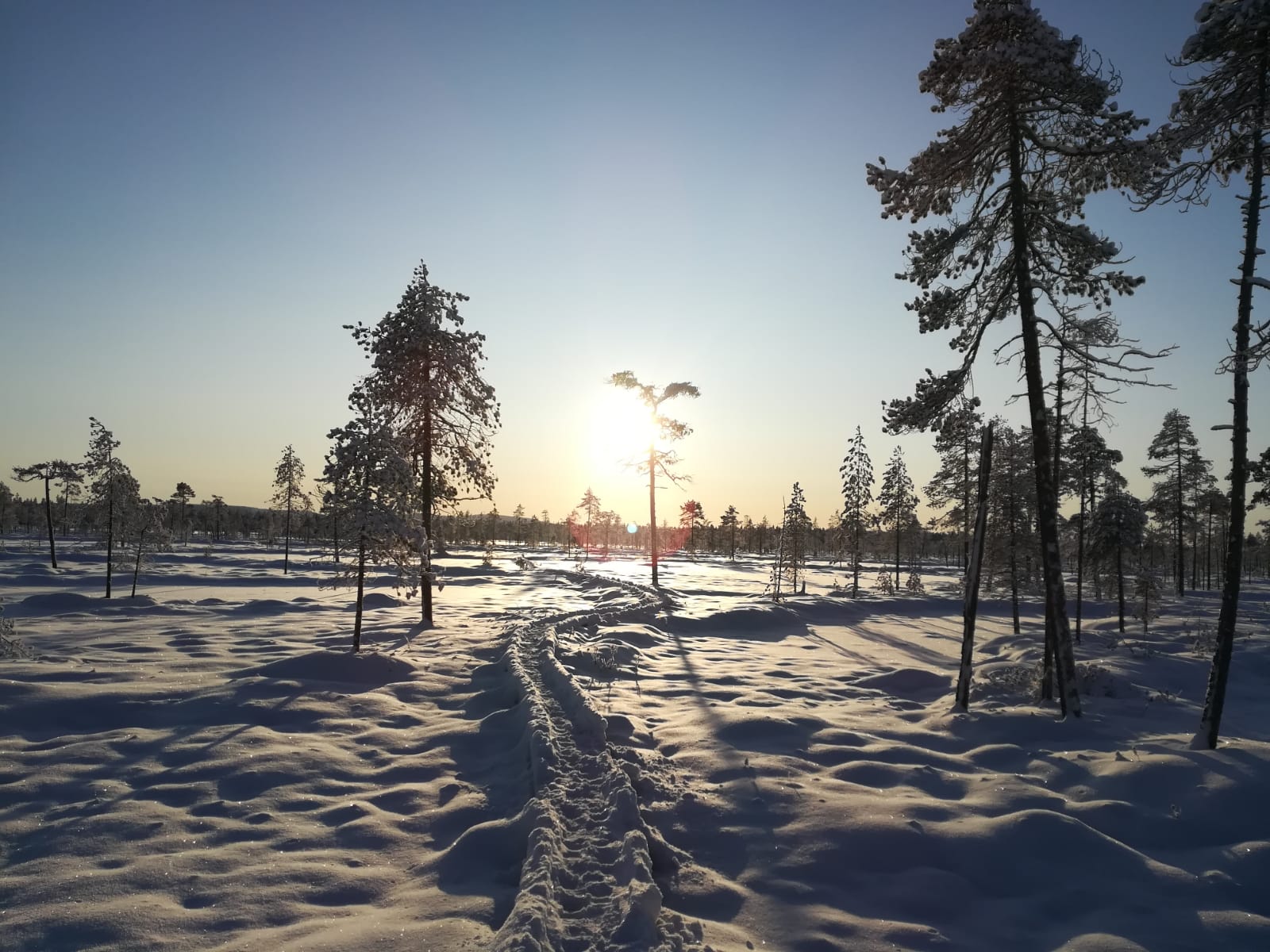 <p><em>Winter wonderland Lapland. Photo: Mikolasch<br /></em></p>