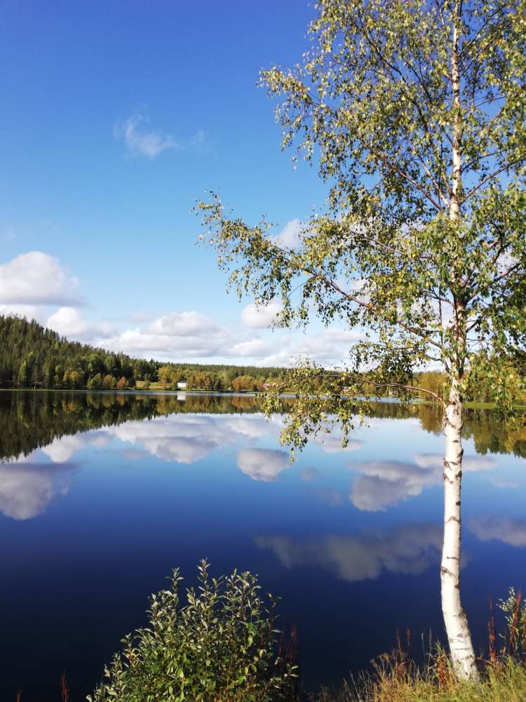 <p><em>Landscape of Lapland<em></em>. Foto: Mikolasch </em></p>