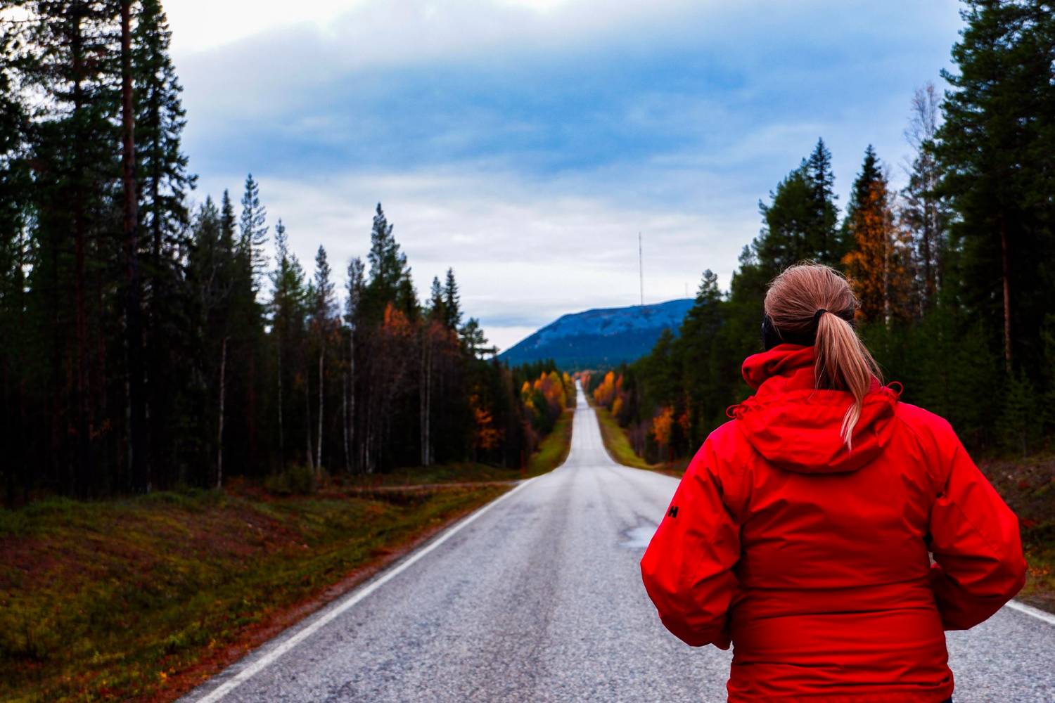 <p><em>Endlose Weite in Lapland. Foto: Hribar</em></p>