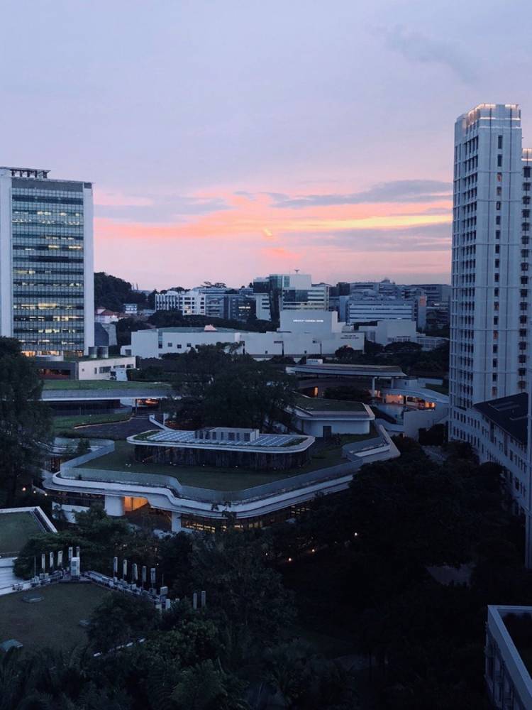 <p>University-Town in Singapur. Foto: Ding Xiang</p>