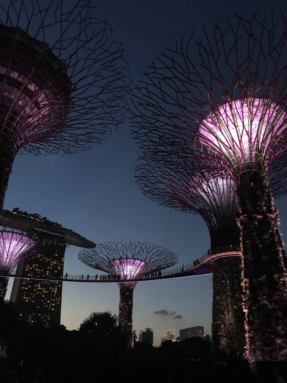 <p>Gardens by the Bay Singapur. Foto: Sumesgutner</p>