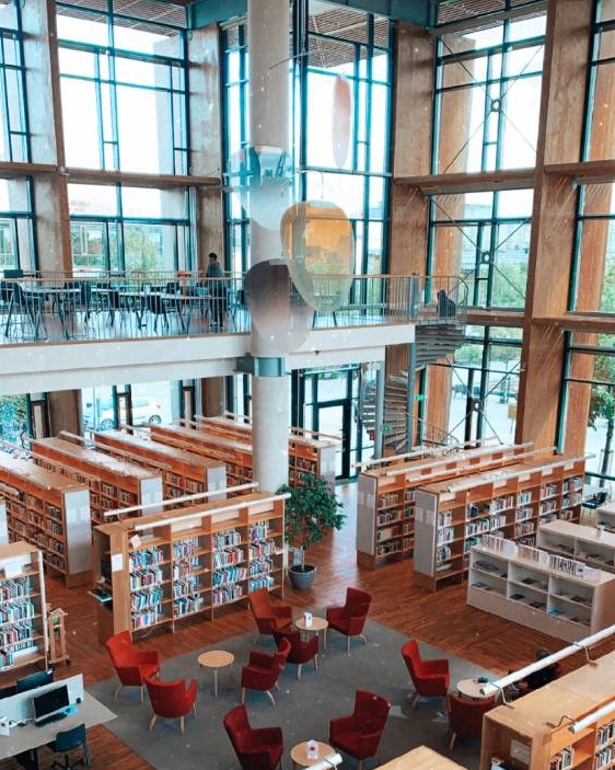 <p><em>Universitätsbibliothek. Foto: Lisa Scherer</em></p>