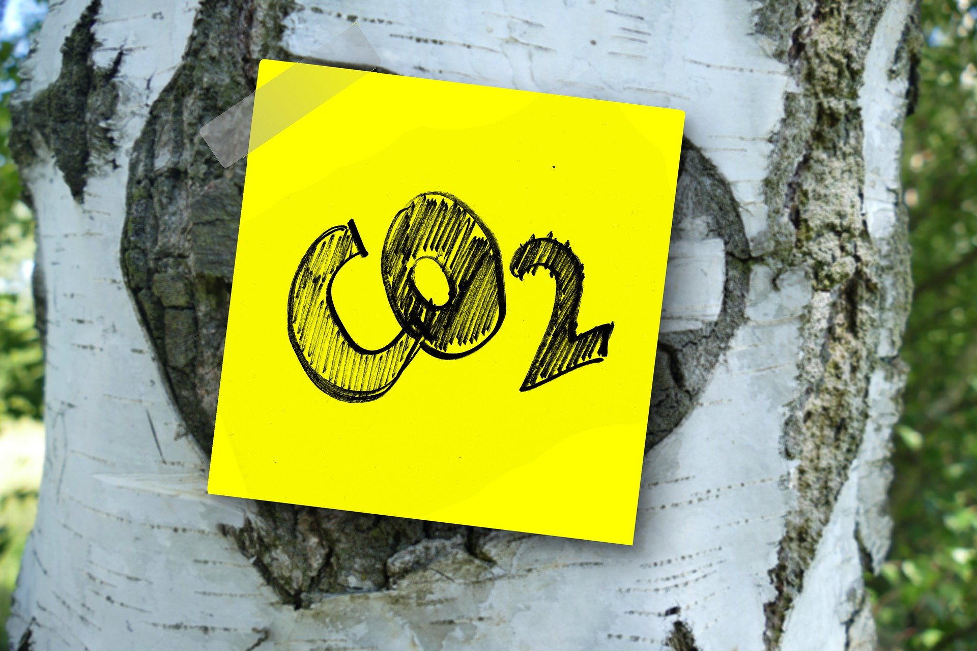 <p><b>C</b>limate change and carbon footprint were topics of discussion at MCI's „Carbon Literacy Training“. ©Pixabay</p>