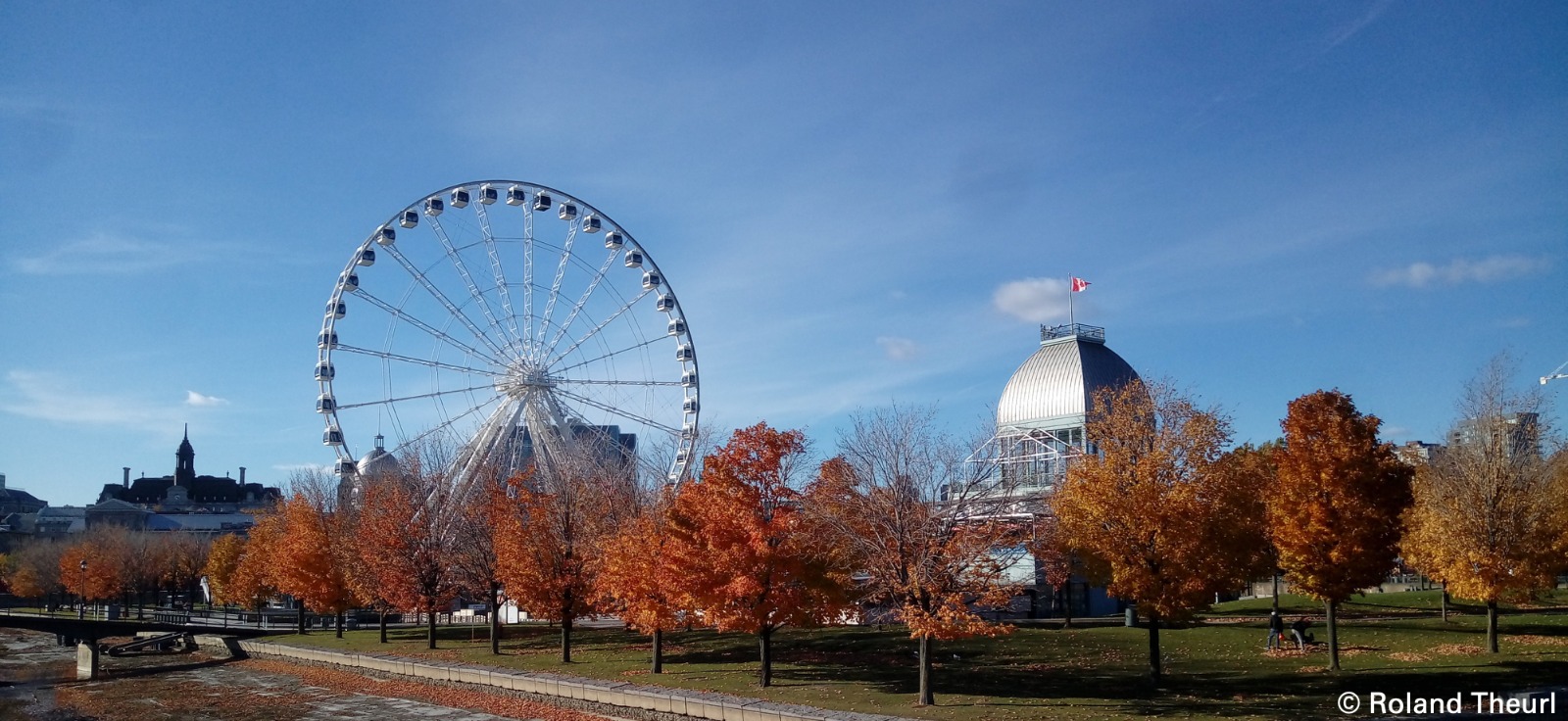 Montréal’s big wheel at the old port