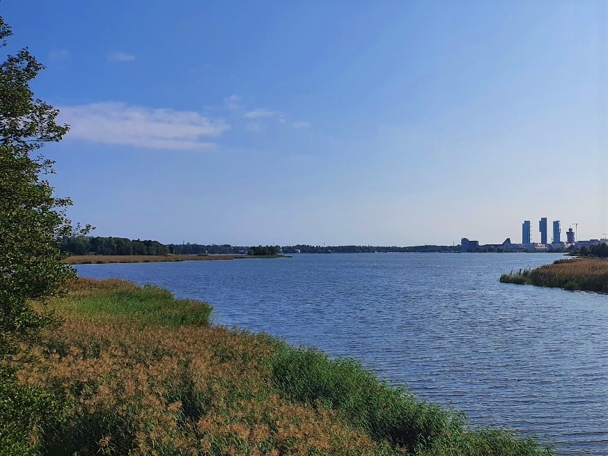 <p>Naturparadies außerhalb von Helsinki auf der Insel Lammassaari. Foto: ©Grander & Frommelt</p>