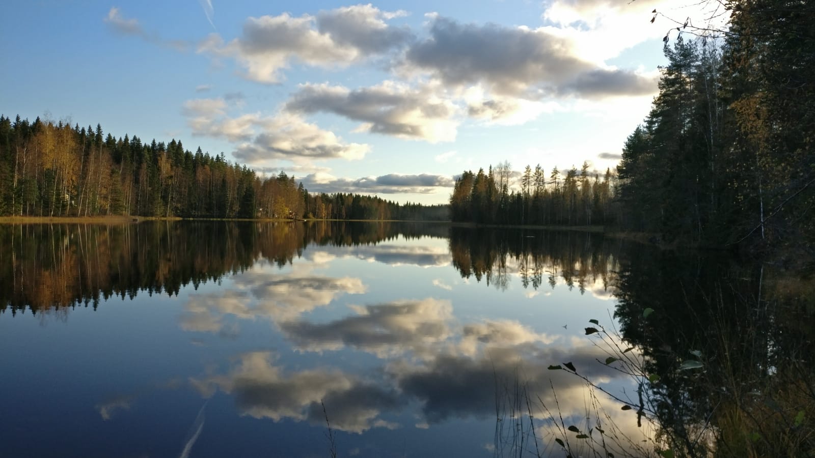 <p><em>Landscape of Finland. Photo: Armellini, Erhart<br /></em></p>