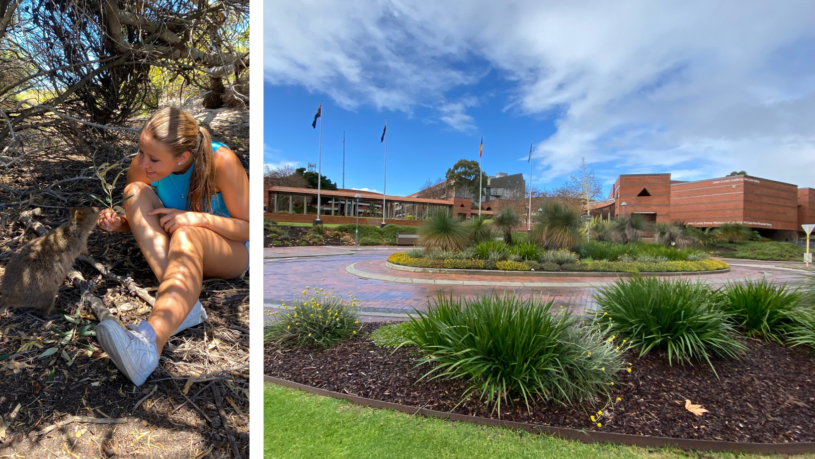 <p>Laura Mannhardt & Quokka | Curtin University. © Laura Mannhardt</p>