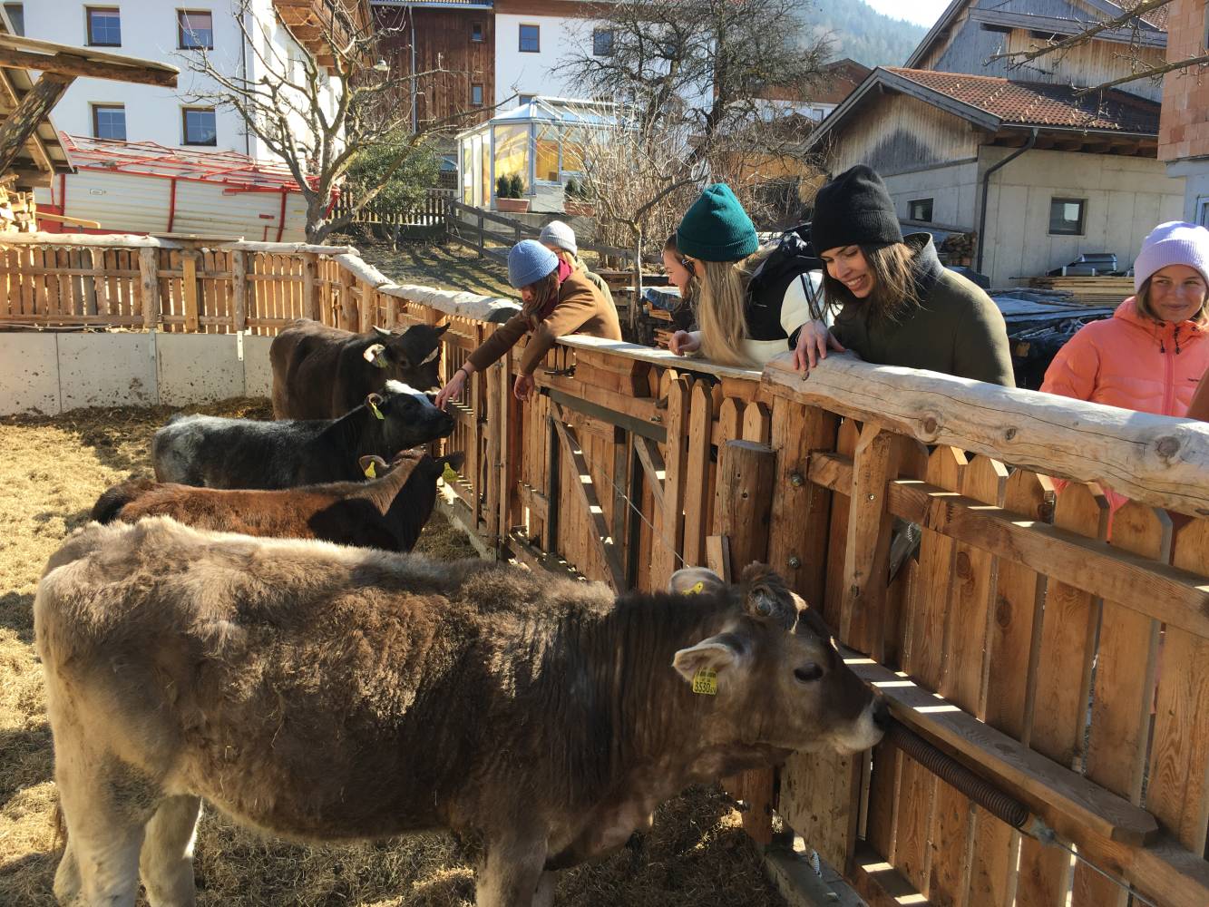 <p>Studierende bei der Exkursion zum Bio-Bauernhof in Patsch. Foto: MCI.</p>