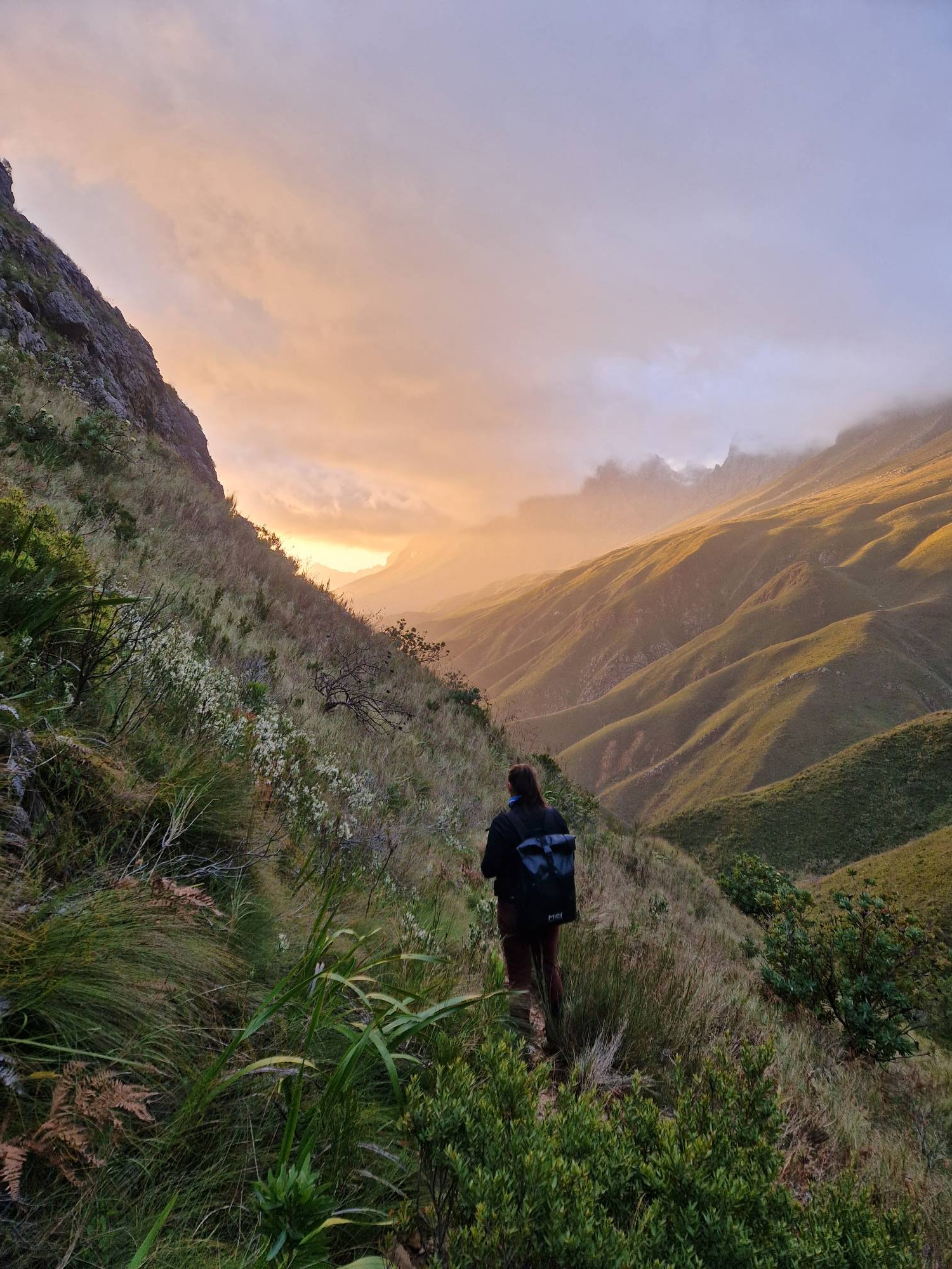 <p>Stellenbosch is perfect for nature lovers! For example - Jonkershoek Nature Reserve © Conrardy</p>