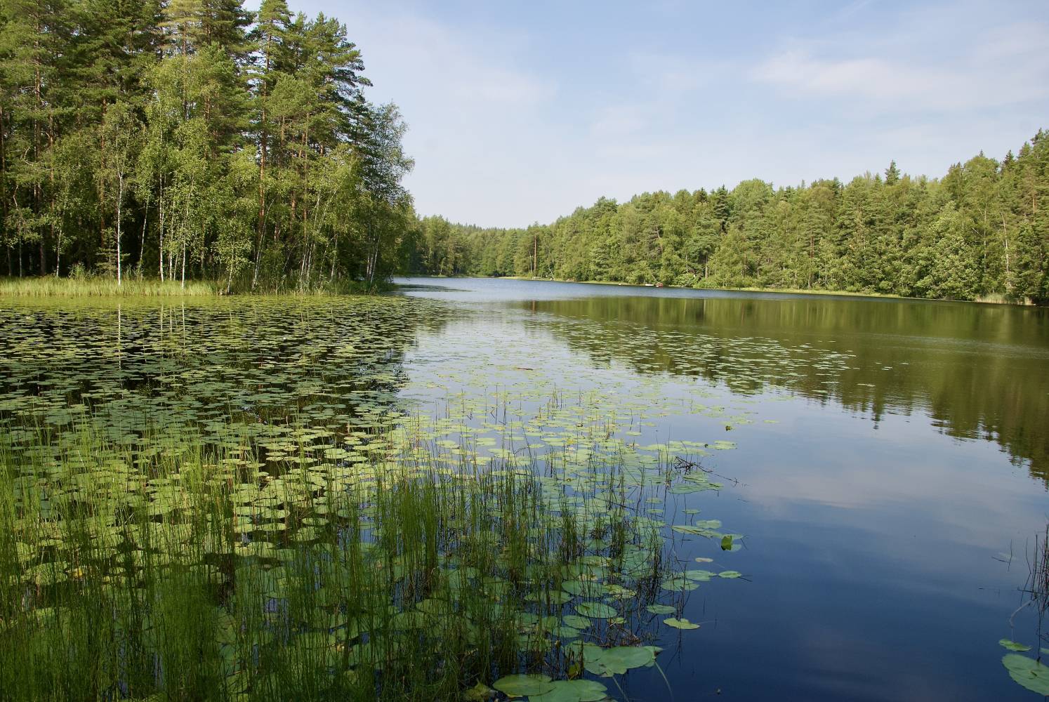 <p><em>Benedikt Veider im Auslandssemester in Finnland, © Benedikt Veider</em></p>