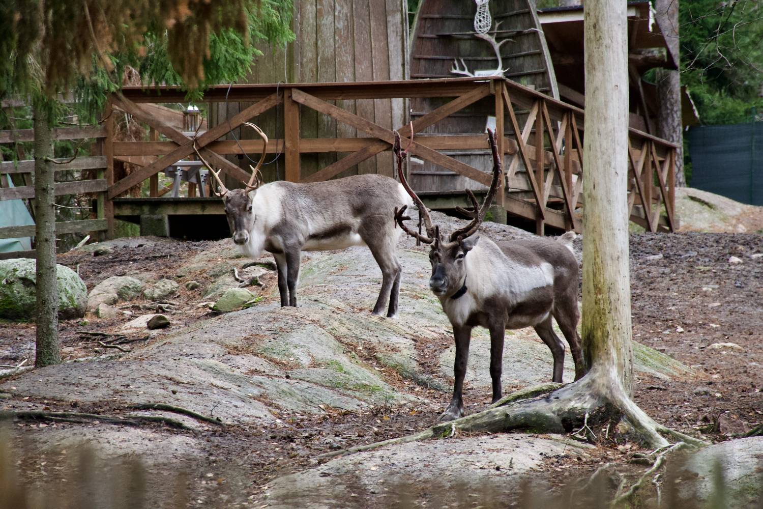 <p><em>Benedikt Veider on his semester abroad in Finland, © Benedikt Veider</em></p>