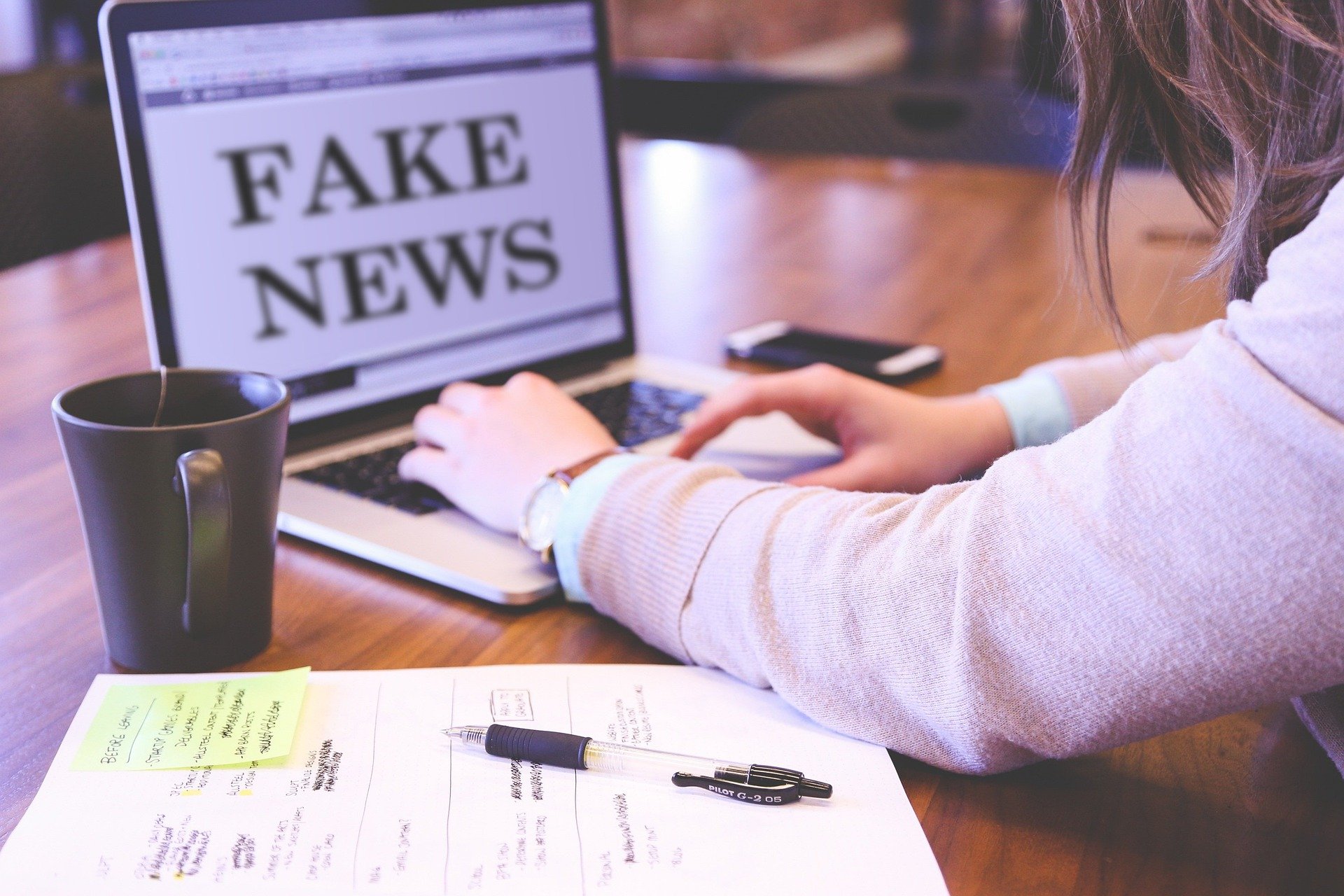 <p><em>Reduktion des Einflusses von Fake News, © Pixabay<br /></em></p>