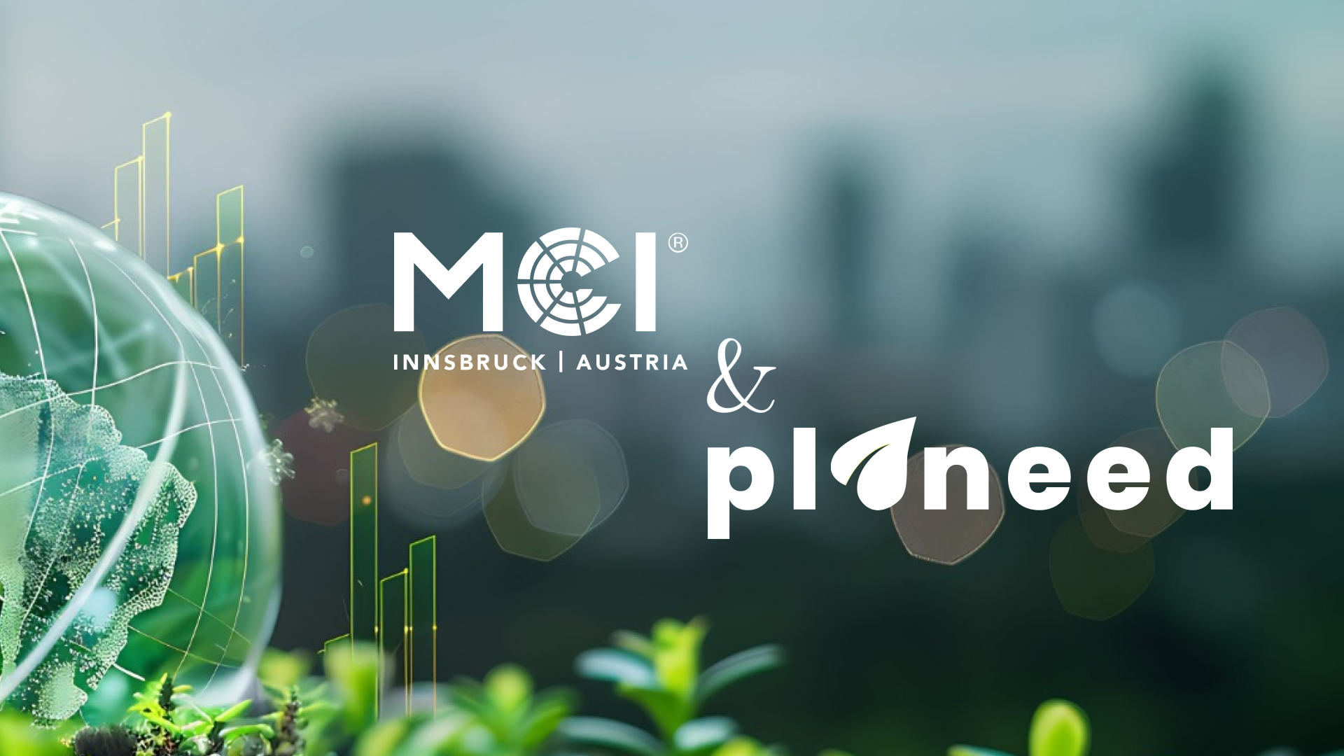 MCI goes planeed: Discover MCI’s Point of Actions!