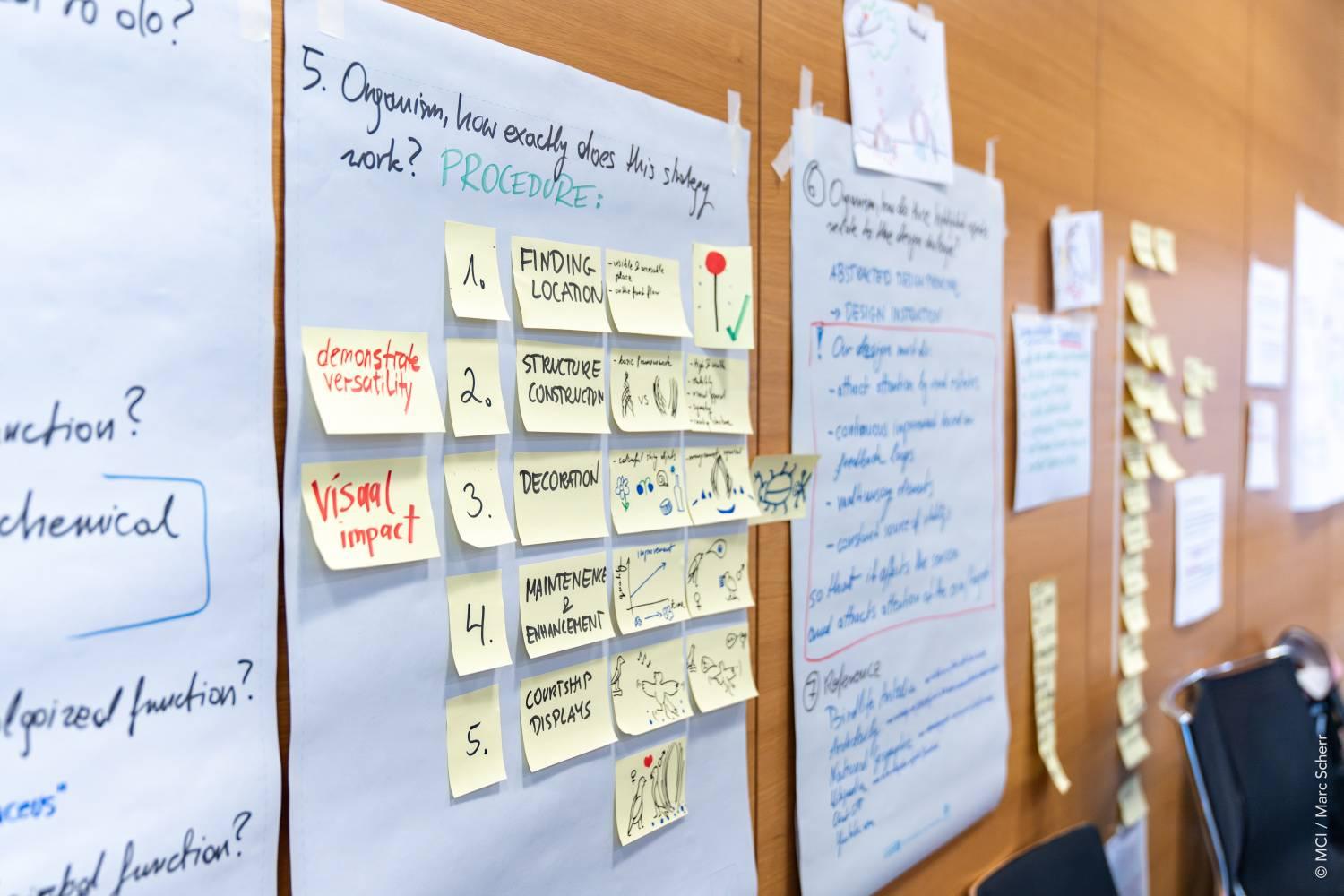 <p>Throughout the week, 22 participants from four countries worked intensively on challenges related to climate change and biodiversity ©MCI / Marc Scherr</p>