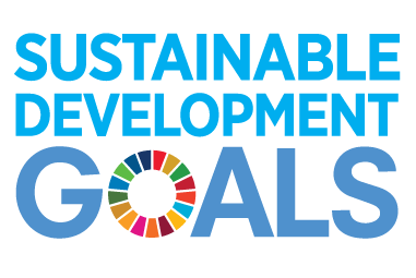 SDG Logo