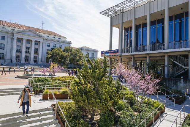 <p>Campus UC Berkeley © UC Berkeley</p>