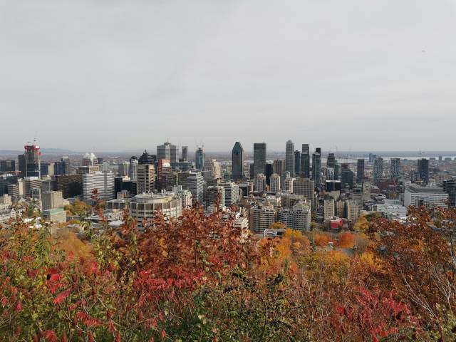 <p>Ein herbstlicher Blick auf Downtown Montréal vom Aussichtpunkt am Mont Royal. © Monica Nadegger</p>