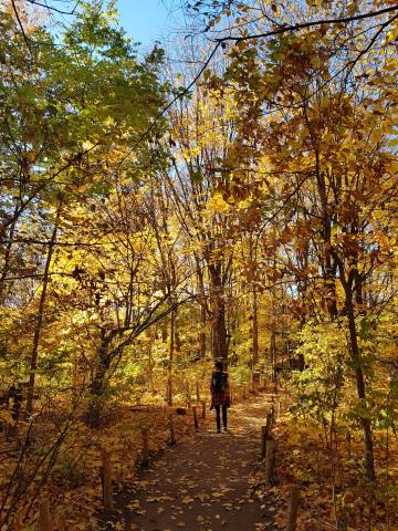 <p>Ein Spaziergang durch den Botanischen Garten von Montréal – mitten in der Stadt und doch in der Natur. © Monica Nadegger</p>