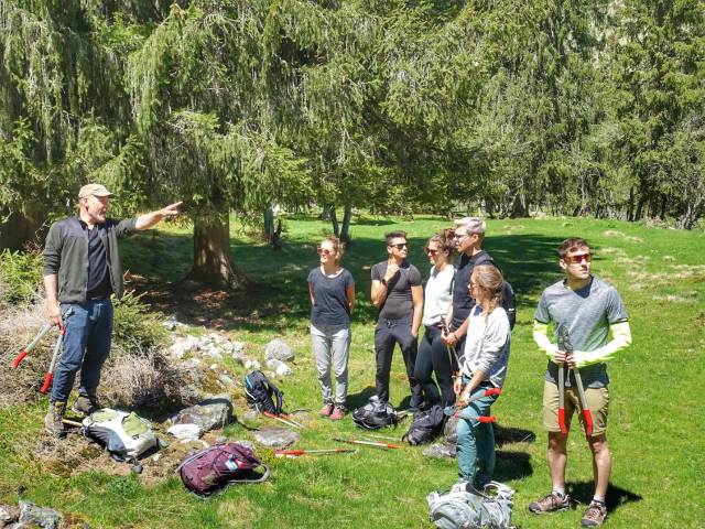 <p><em><em>Landschaftspflege auf der Alm, Foto: MCI Tourismus<br /></em></em></p>